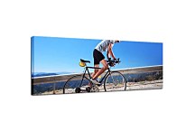 Športový obraz zs296