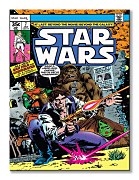 Star Wars (Surrounded) - Obraz WDC99306