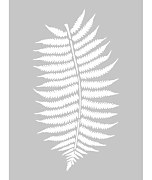 stencils fern tropical interior