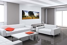 Stromy Obrazy Panoráma zs3262