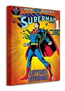 Superman (Krytonite) - Obraz WDC92194