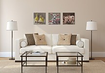 Oink! - Obraz WDC95439