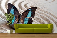 Tapeta Krídla motýľa 29068 - samolepiaca na stenu
