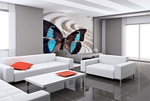 Tapeta Krídla motýľa 29068 - samolepiaca na stenu