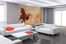 Tapeta Gaštanový kôň 29233 - samolepiaca na stenu
