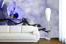 Tapeta Orchidea 6375 - samolepiaca na stenu