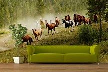 Tapeta Wild horses 29183 - samolepiaca na stenu