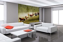 Tapeta Wild horses 29183 - samolepiaca na stenu