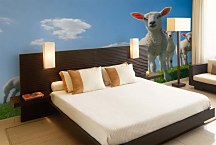 Tapeta Jahniatka 29383 - samolepiaca na stenu