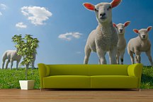 Tapeta Jahniatka 29383 - samolepiaca na stenu