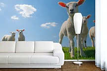 Tapeta Jahniatka 29383 - samolepiaca na stenu