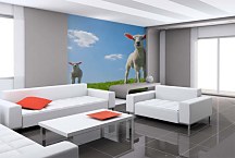 Tapeta Jahniatka 29383 - samolepiaca na stenu