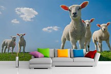 Tapeta Jahniatka 29383 - samolepiaca na stenu