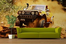 Tapeta Terénne auto 29295 - latexová