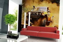 Tapeta Terénne auto 29295 - latexová