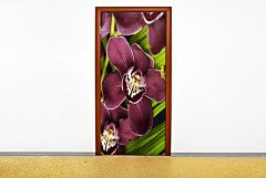 Tapety na dvere 6057