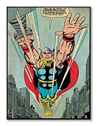 Thor (Thunder God) - Obraz  WDC90937