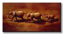 Three African Elephants - Obraz WDC43031