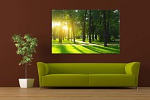 Tlačený obraz Zelený les zs29148