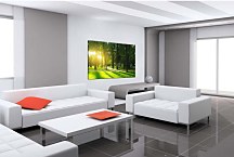 Tlačený obraz Zelený les zs29148