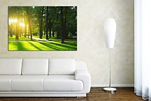 Tlačený obraz Zelený les zs29148