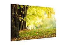 Obraz V jeseni zs29150