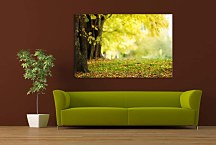 Obraz V jeseni zs29150