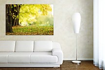 Obraz V jeseni zs29150