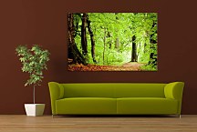 Tlačený obraz Zelené listy na stromoch zs29194