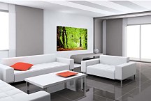 Tlačený obraz Zelené listy na stromoch zs29194