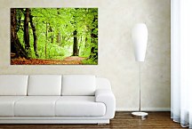 Tlačený obraz Zelené listy na stromoch zs29194