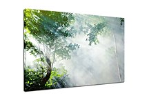 Top obraz prírody zs29161