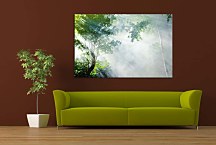 Top obraz prírody zs29161