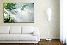 Top obraz prírody zs29161