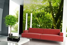 Tapeta Tropical Bamboo 29127 - samolepiaca na stenu