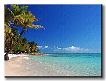 Tropikalna plaża - Obraz na płótnie CS0413