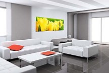 Tulipány Panoráma obraz zs107