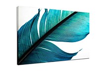 Tyrkysový obraz Pierko zs29384