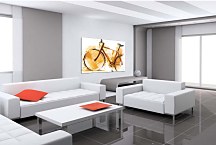 Obraz Vintage Bicykel 29315