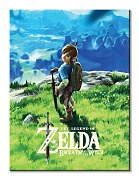 The Legend Of Zelda: Breath Of The Wild - obraz WDC100000