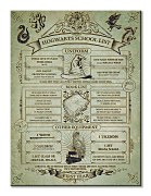 Harry Potter (Hogwarts School List)  - obraz na stenu WDC100003