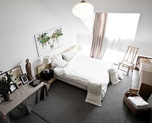 Tropical Skull - obraz Thornton Summer WDC100084