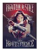 DC Comics Wonder Woman Fight For Justice - obraz WDC100103
