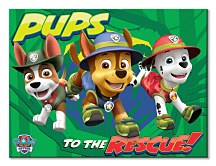 Obraz Tlapková patrola (Pups To The Rescue) WDC100165