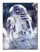 Star Wars: The Last Jedi (R2-D2 Droid) - obraz WDC100183