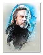 Star Wars: The Last Jedi (Luke Skywalker Brushstroke) - foto obraz WDC100193