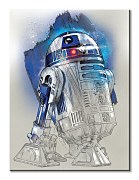 Star Wars: The Last Jedi (R2-D2 Brushstroke) - obraz WDC100195