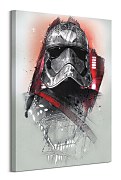 Star Wars: The Last Jedi (Captain Phasma Brushstroke) - obraz WDC100197