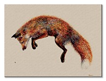 Felix and the bee - obraz WDC100314