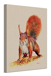 Obraz Veverička Sammy - Bannon Jane WDC100323